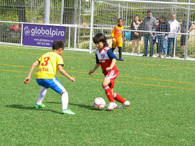 torneo futbol