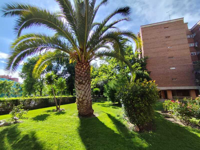 PISO EN VENTA EN ALCORCON - VALDERAS - LOS CASTILLOS